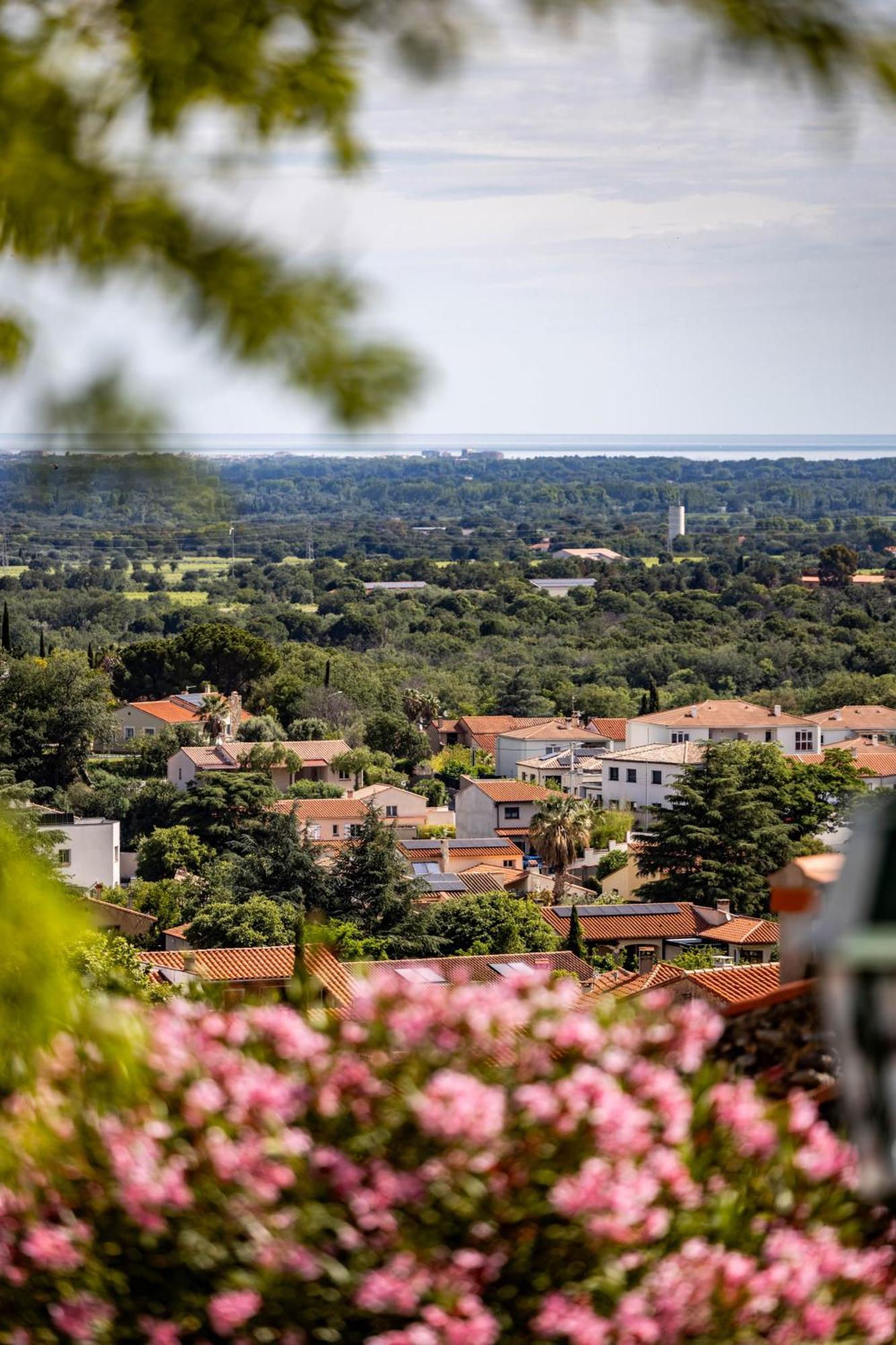 Vue 180°, Superbe Appartement Cocooning ! Laroque-des-Albères Exteriör bild