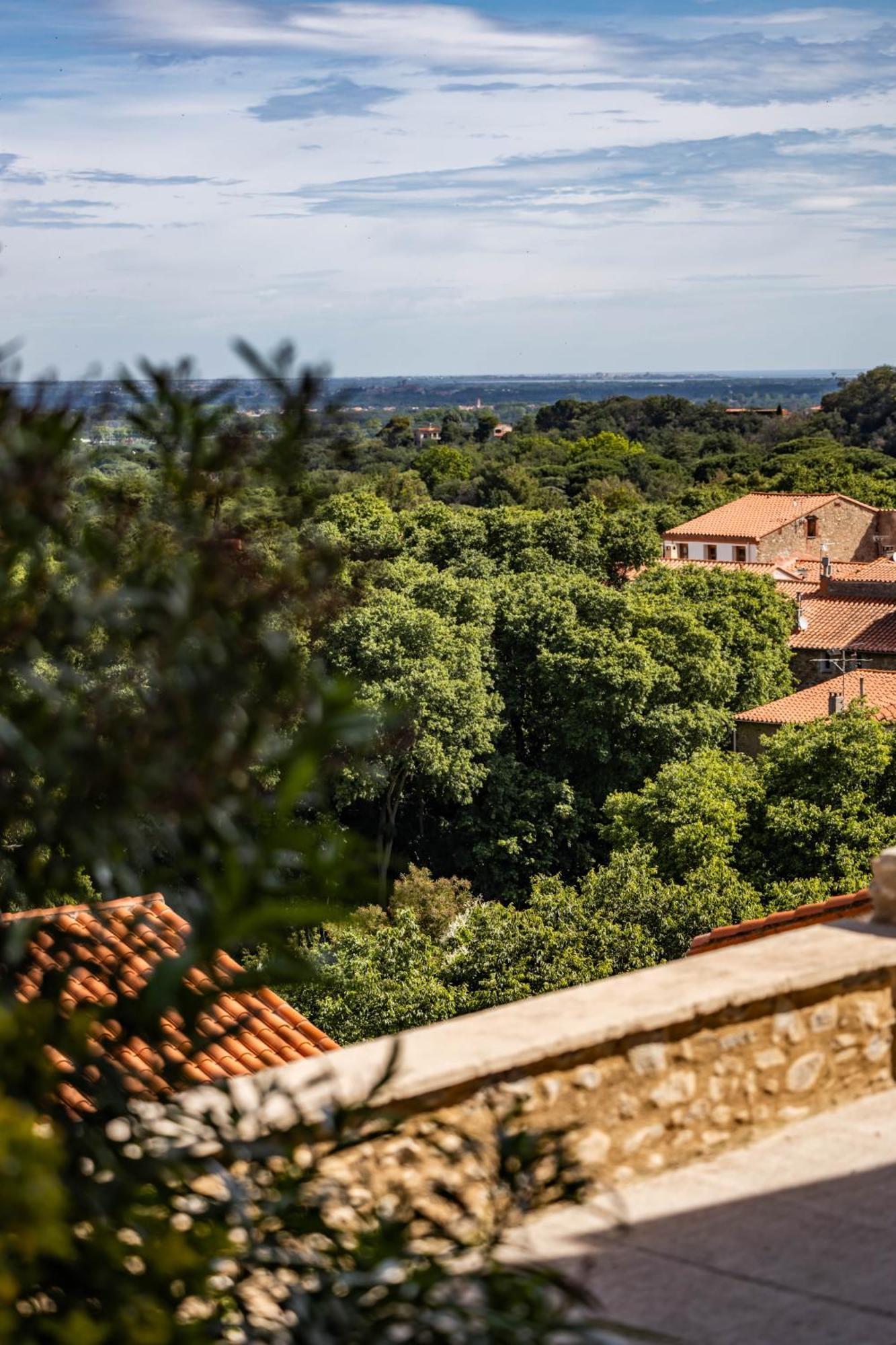 Vue 180°, Superbe Appartement Cocooning ! Laroque-des-Albères Exteriör bild